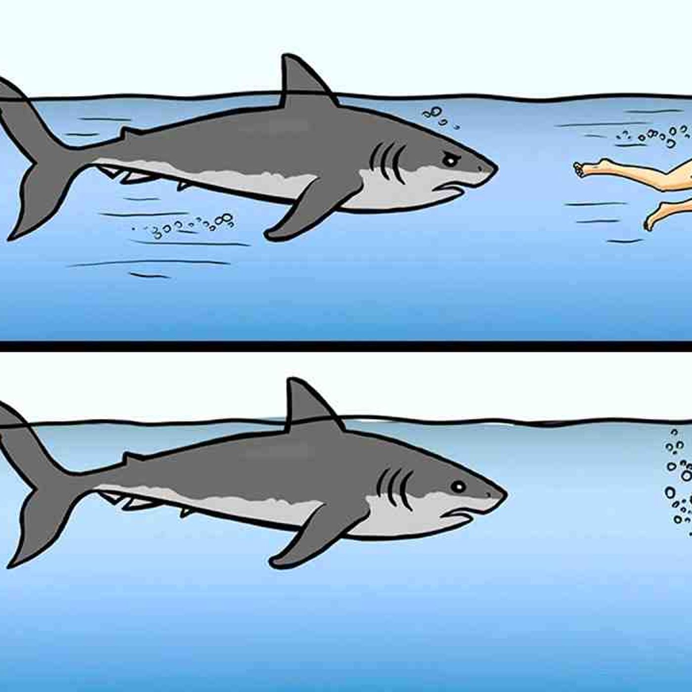 13 Tips on How to Survive Wild Animal Attacks episode artwork