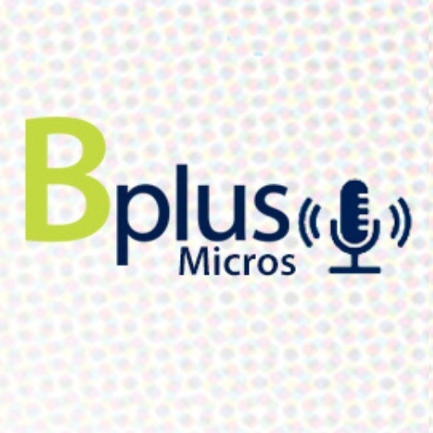 Micros Financieros Bplus