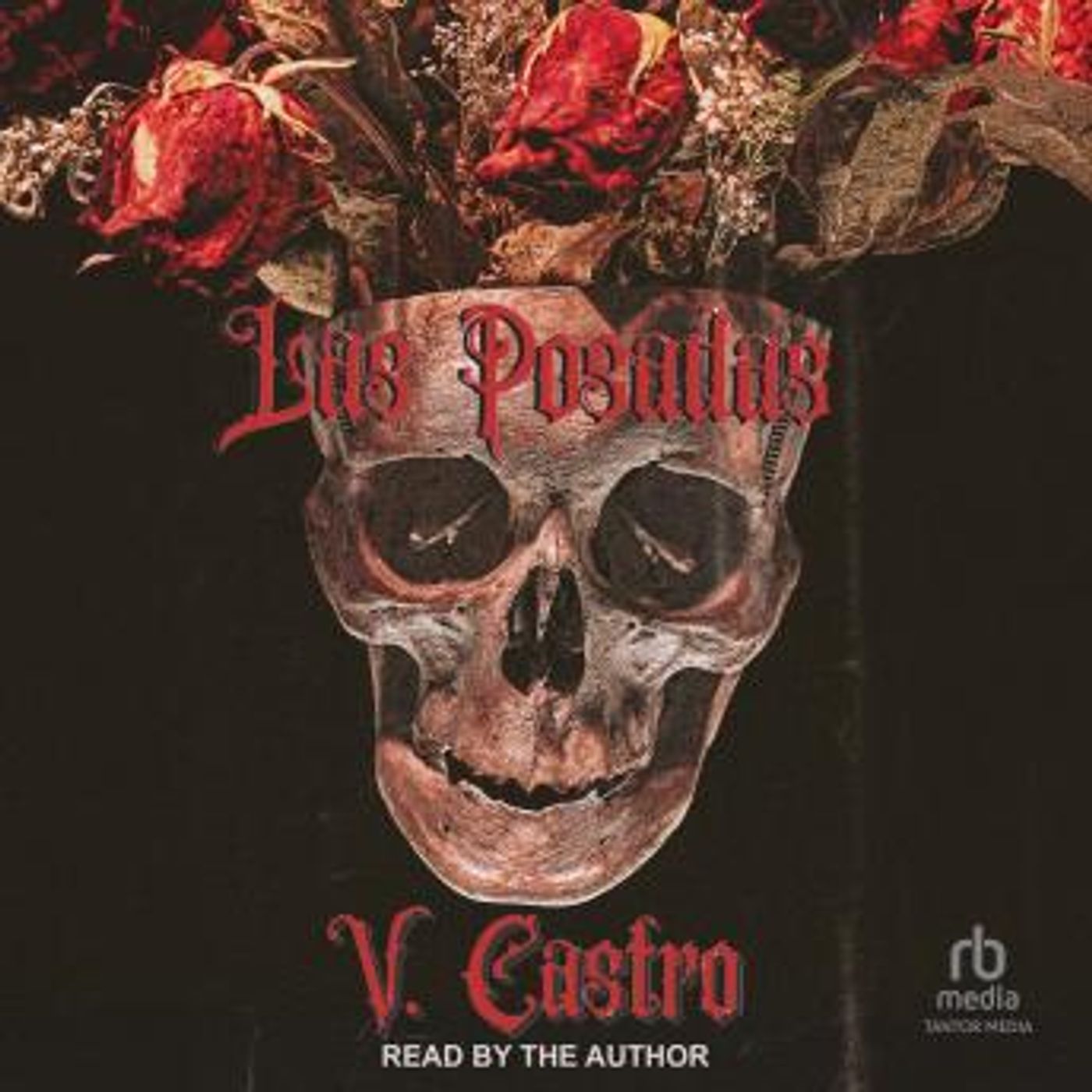 Las Posadas by V. Castro episode artwork