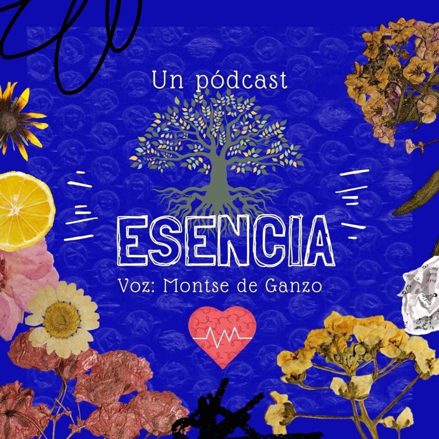 Radio Hemisférica - Montse de Ganzo - Esencia