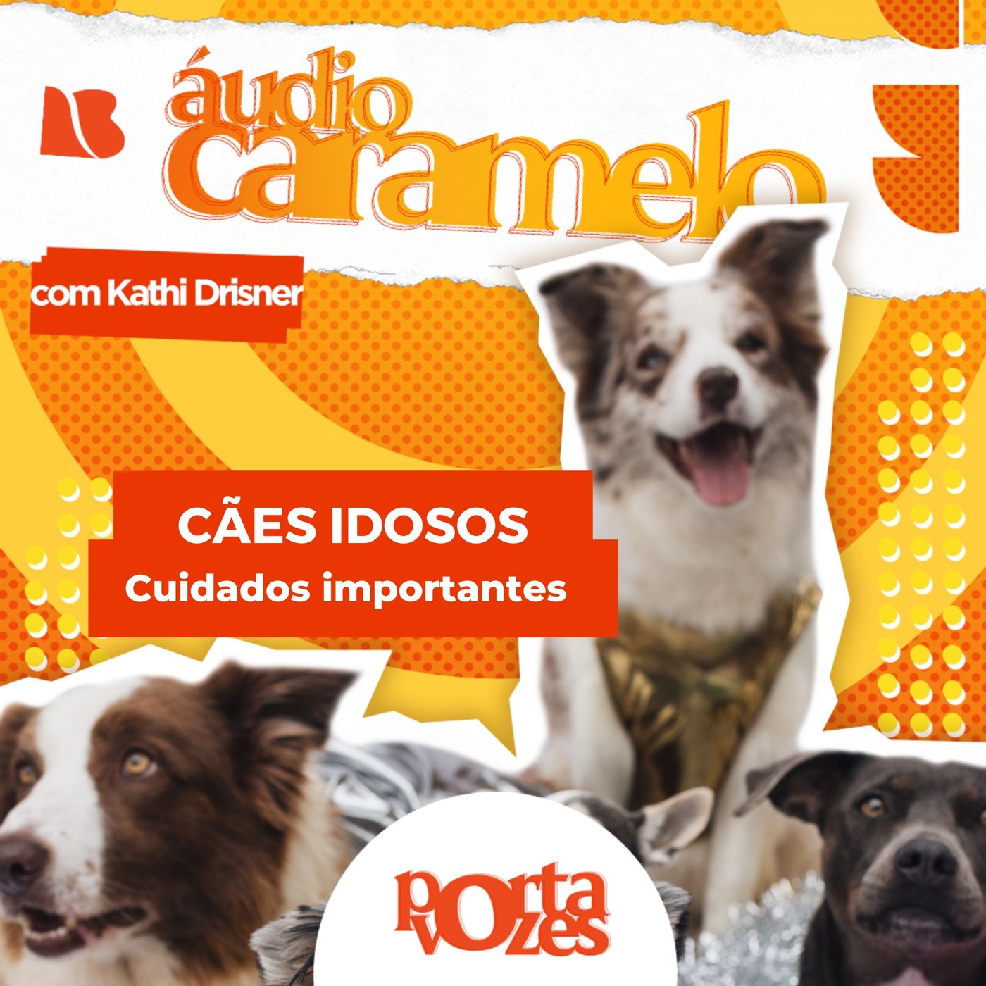 Quais cuidados ter com cães idosos? | Áudio Caramelo episode artwork