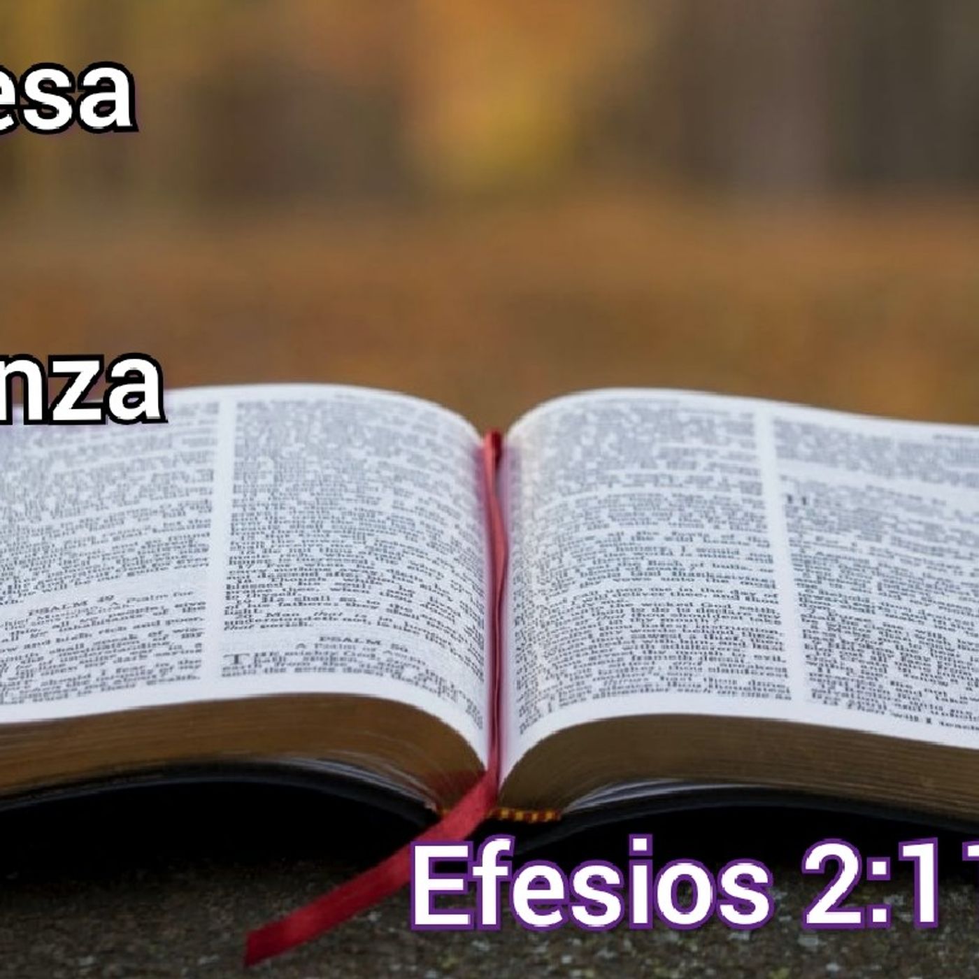 Ministerio Evangelistico Cristo Te Ama