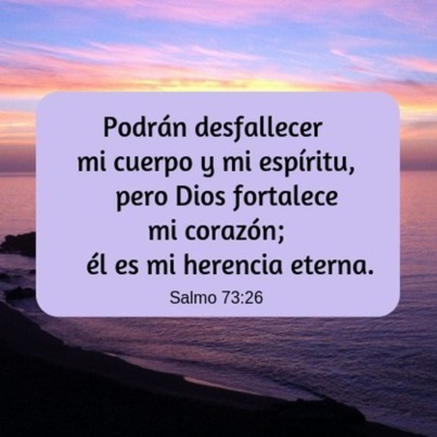 Proyecto hay vida en Jesús
