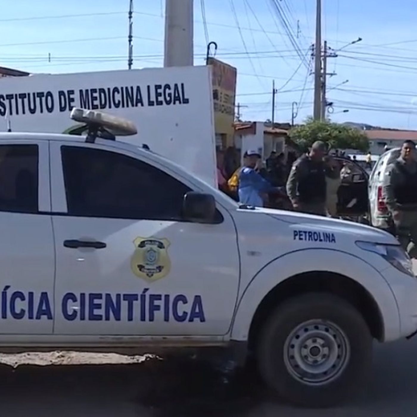 Rede Seta Notícias