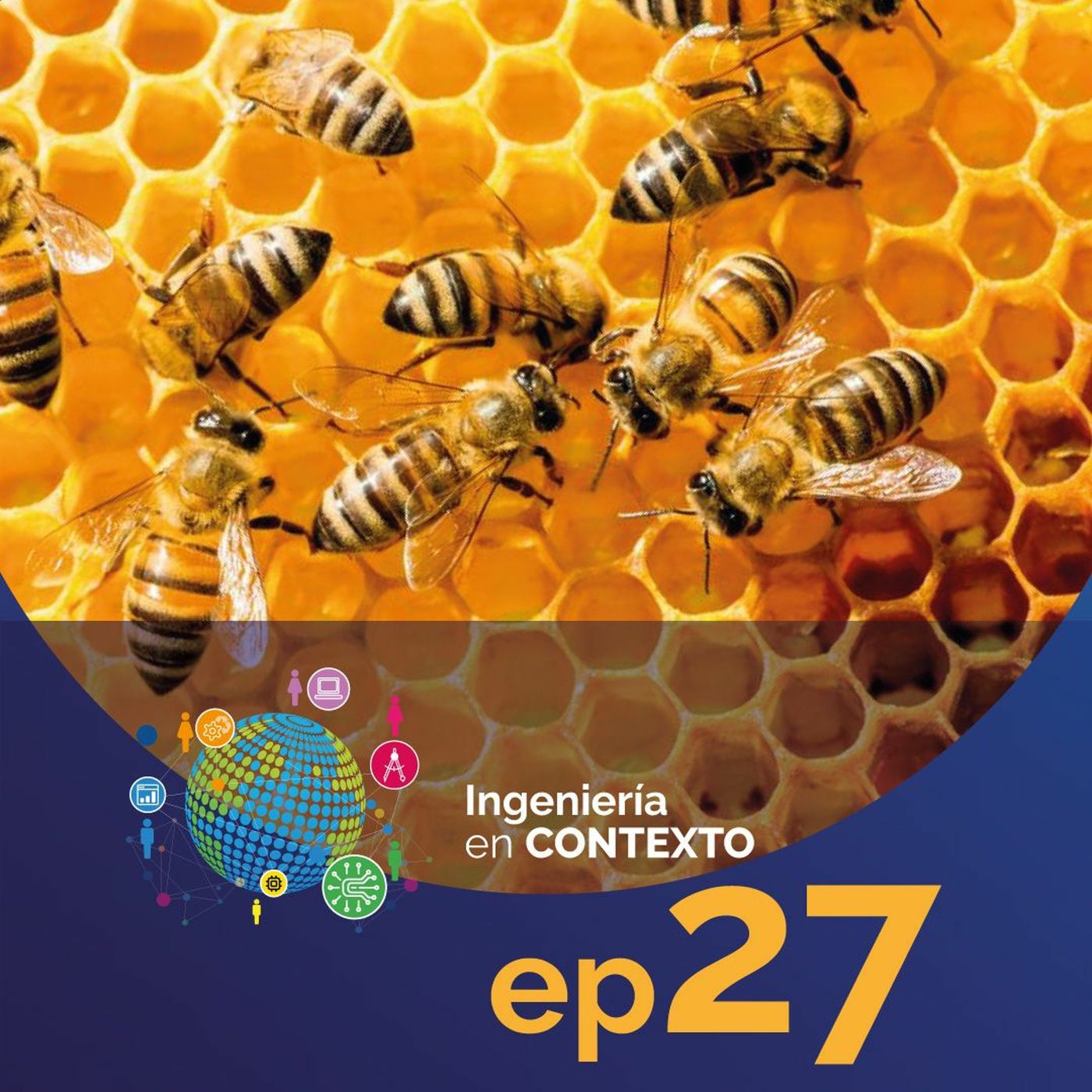 Lo que las organizaciones pueden aprender de las abejas | Ingeniería en contexto Ep.27 episode artwork