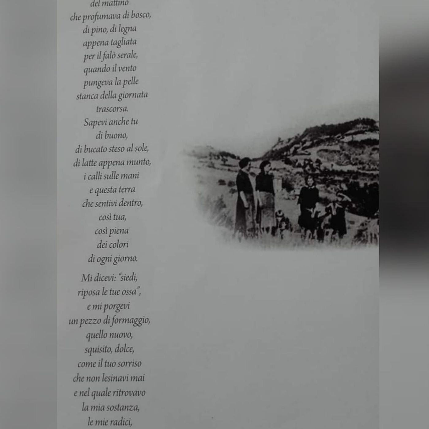 Emmeavideopoetry musica poesia web journ