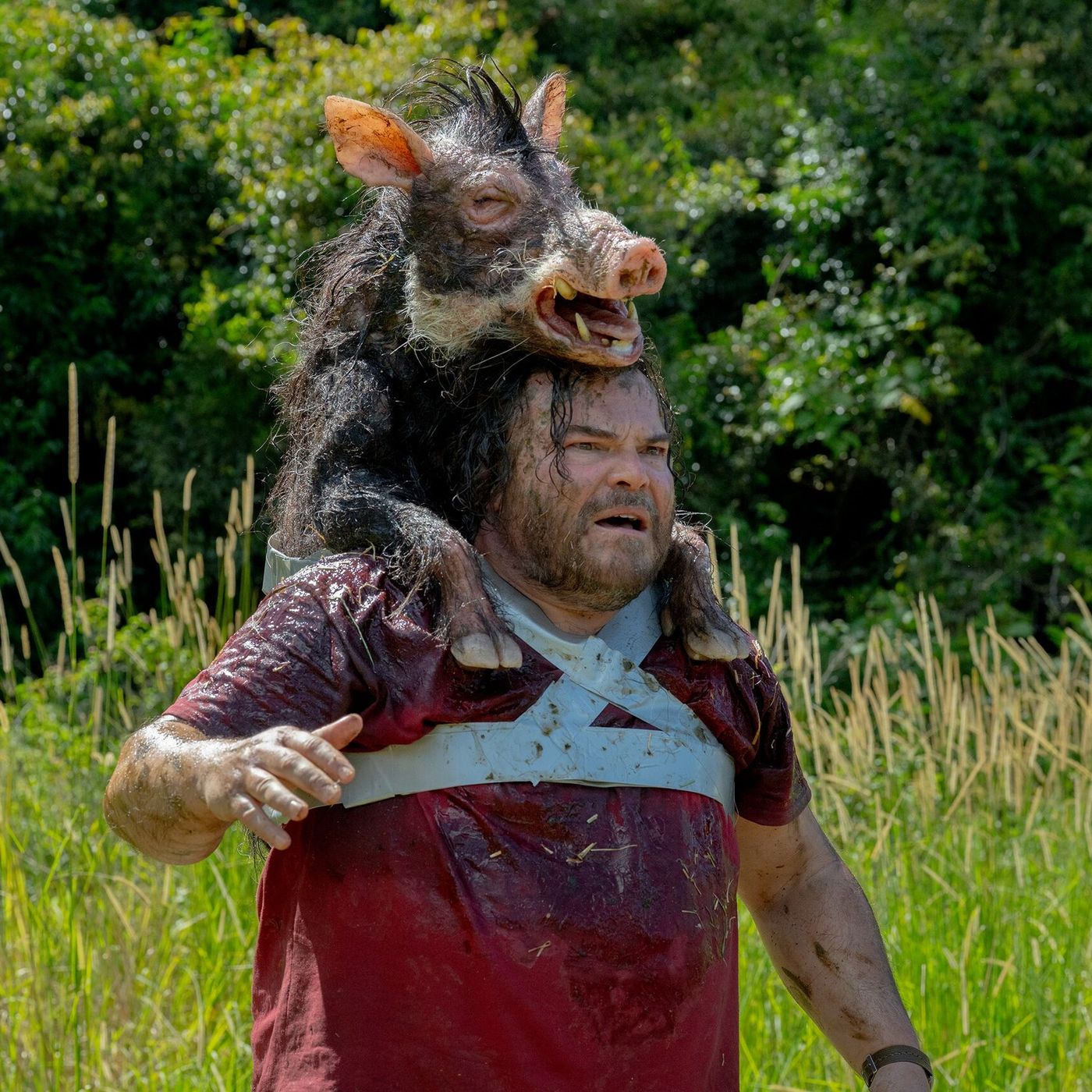 Estrenos en cines: La vuelta de una anaconda disparatada, los clichés argentinos y reuniones familiares