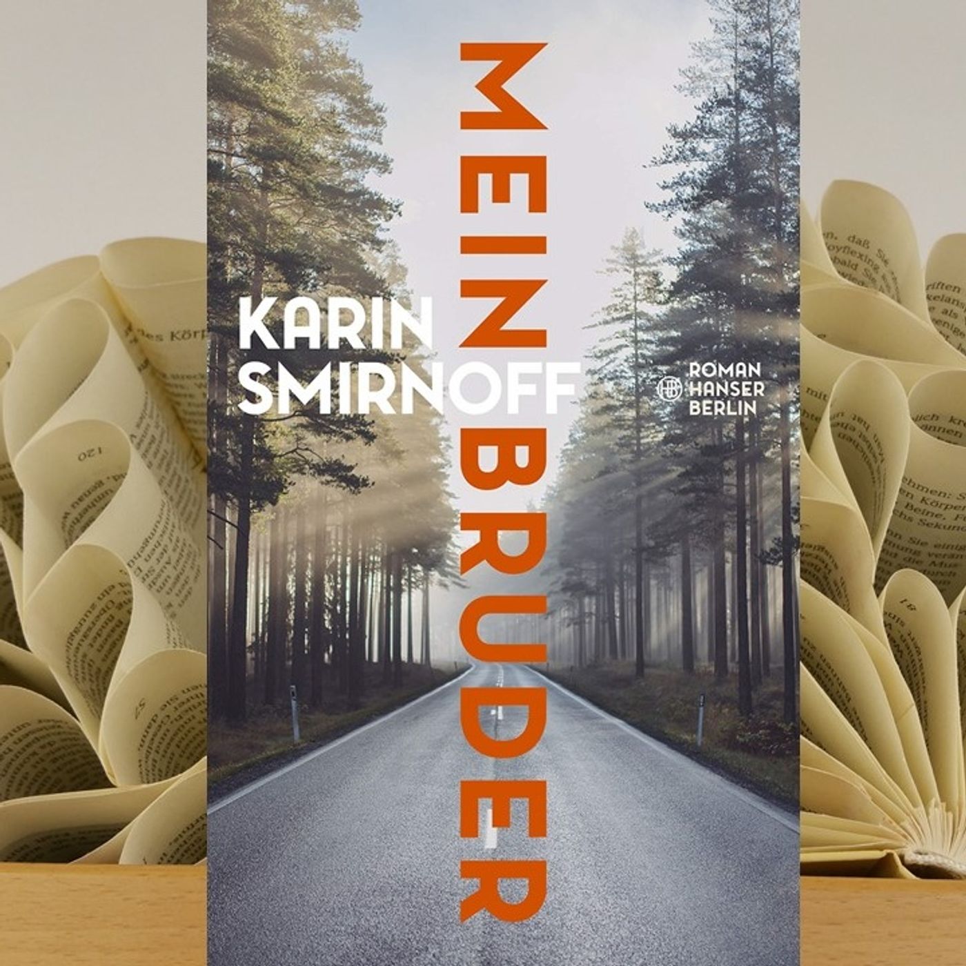 17.13. Karin Smirnoff - Mein Bruder (Renate Zimmermann) episode artwork