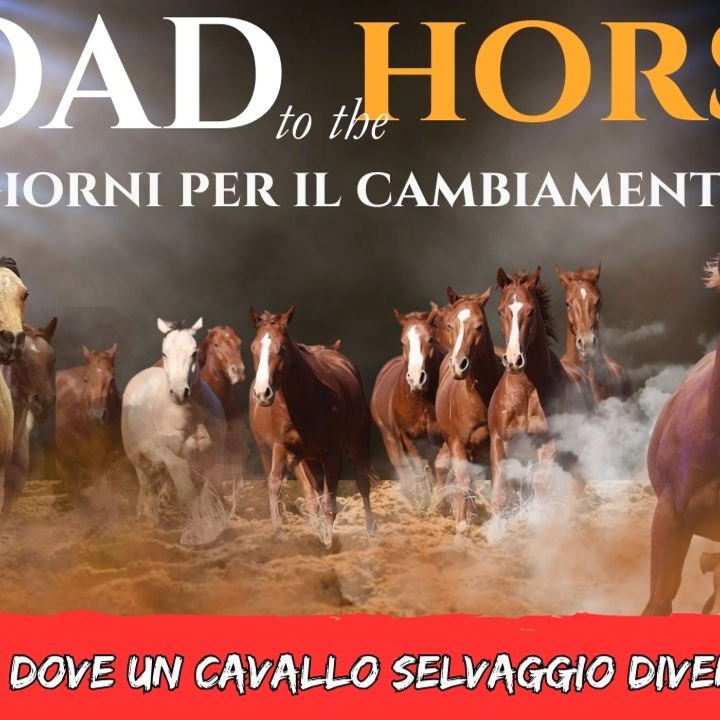 # 163 - Da Selvaggio a Partner in 72 Ore: La Storia di Road to the Horse # 163 - Da Selvaggio a Partner in 72 Ore: La Storia di Road to the Horse