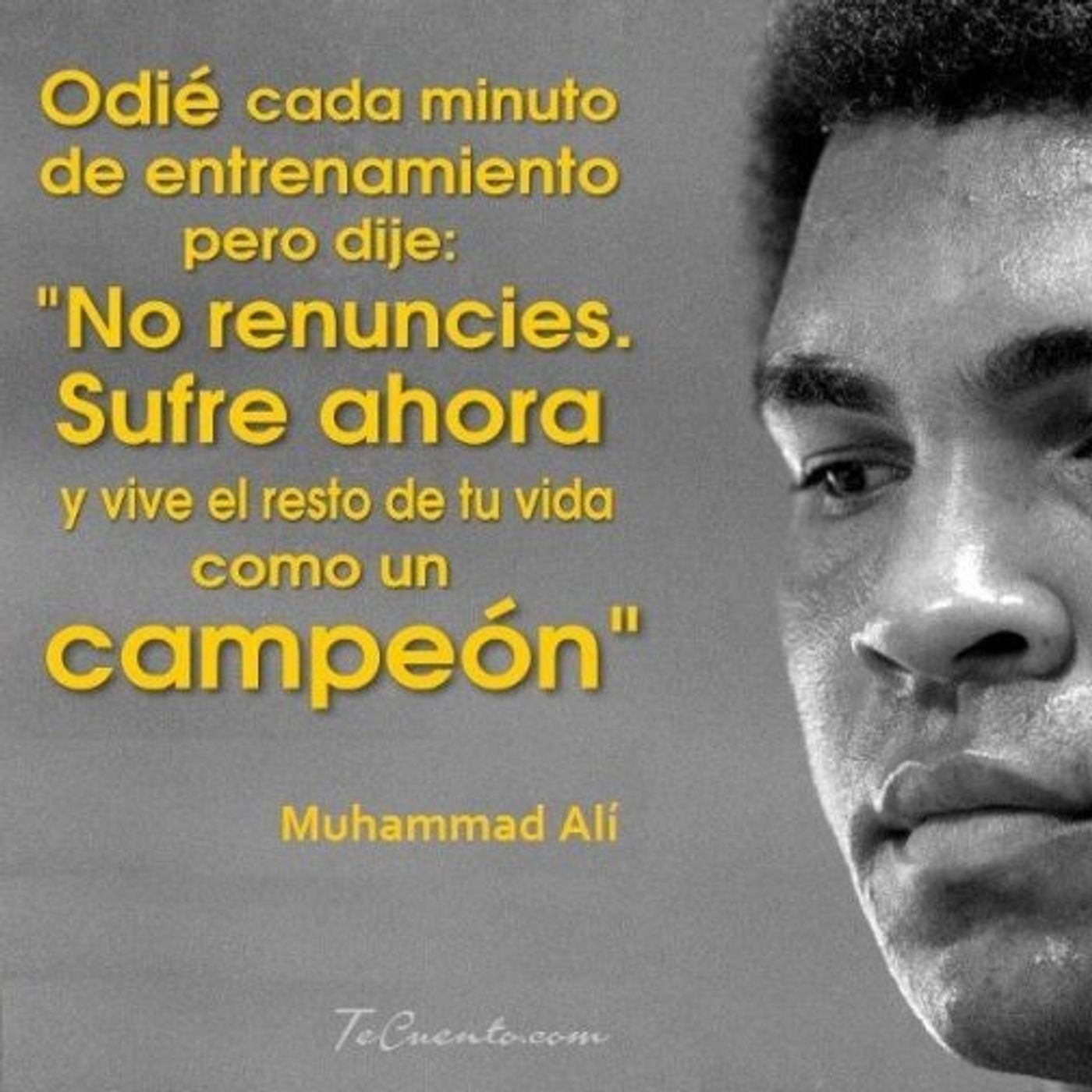 Conexion Pineal