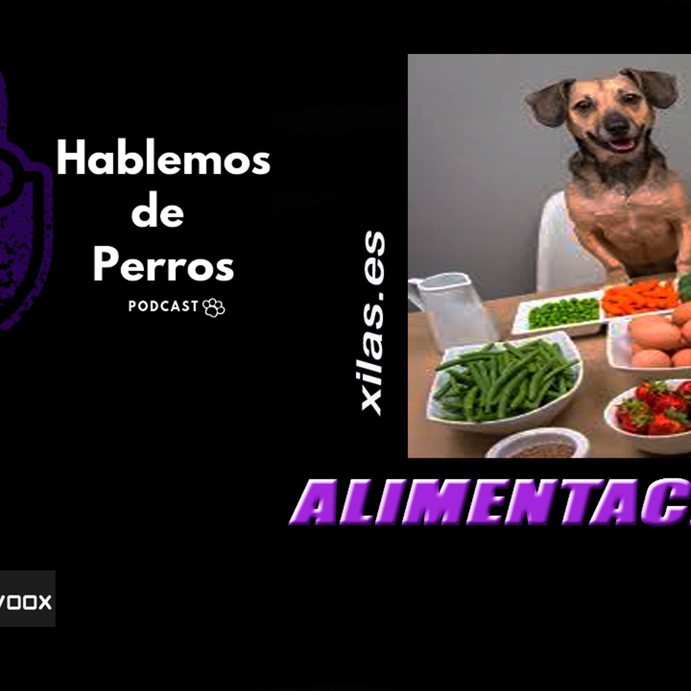 Hablemos de perros