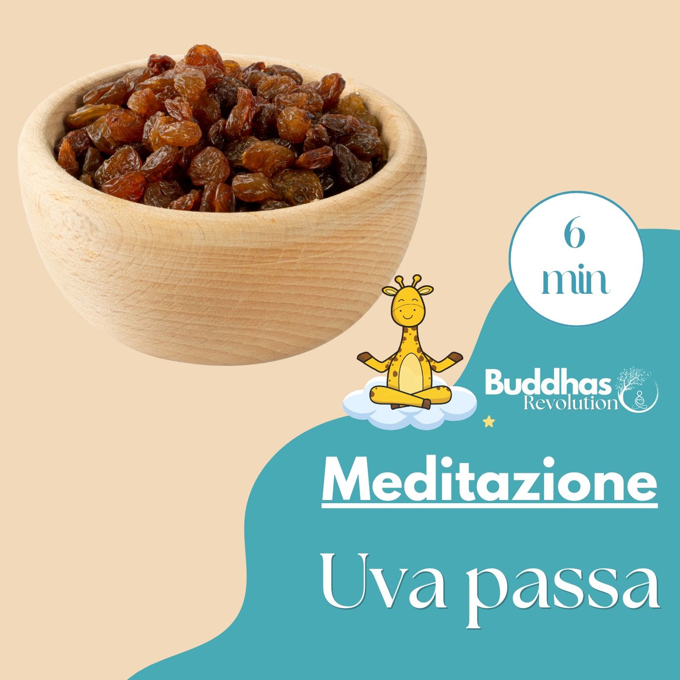 Buddhas Revolution