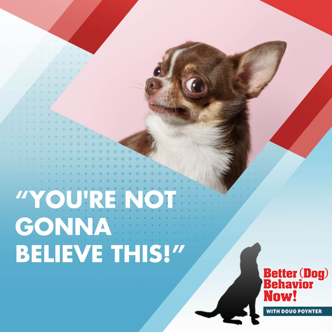 "You're Not Gonna Believe This!" episode artwork