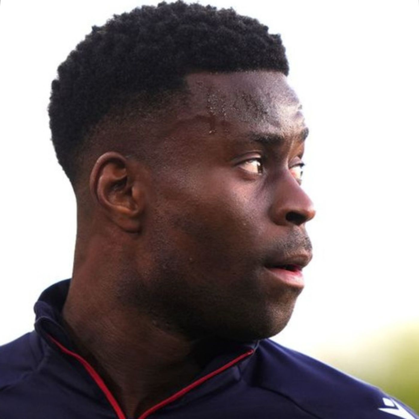 The Football Referee