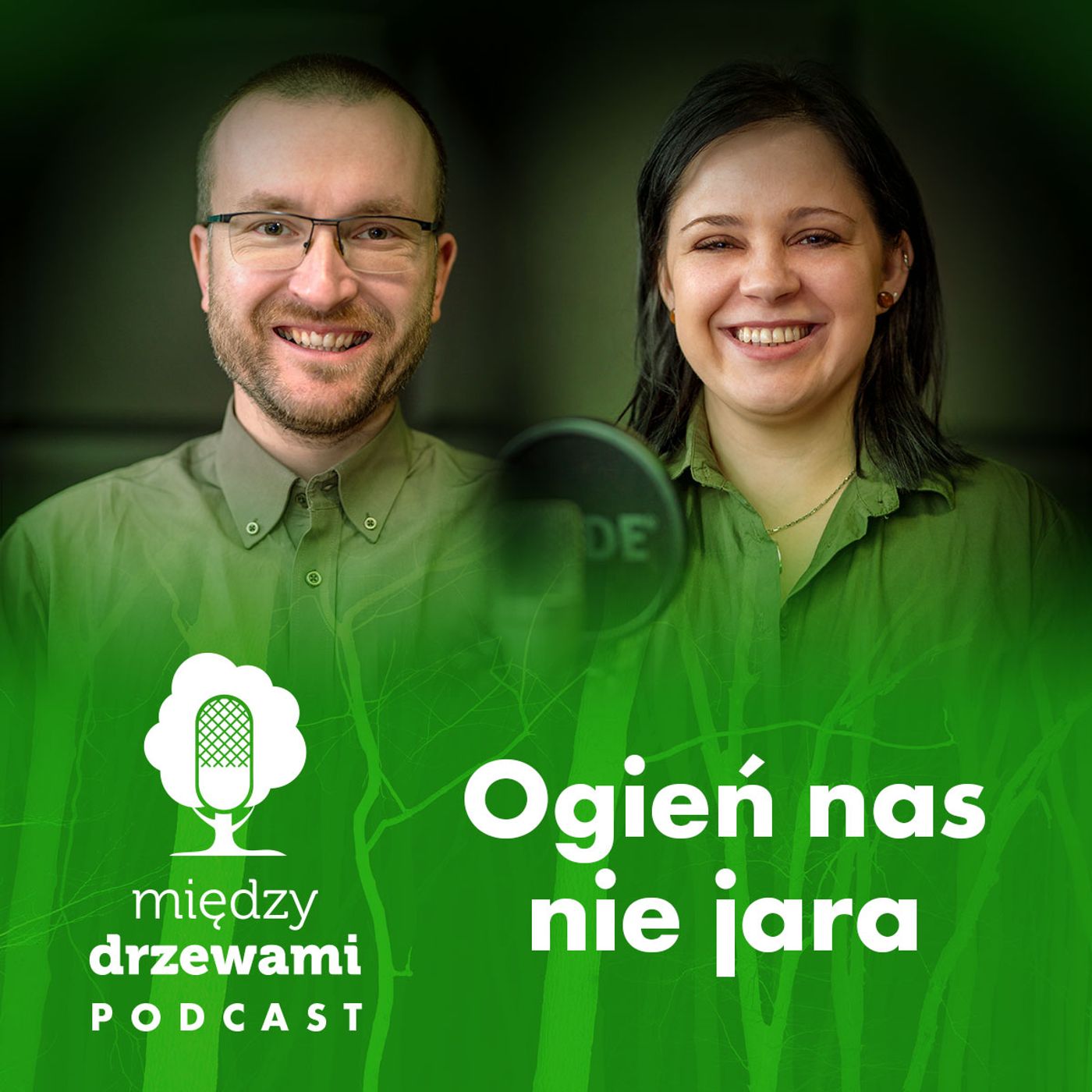Między Drzewami Podcast