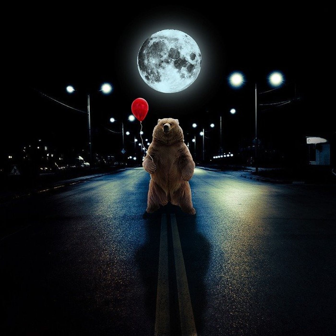 #28 - A Bear on the Moon