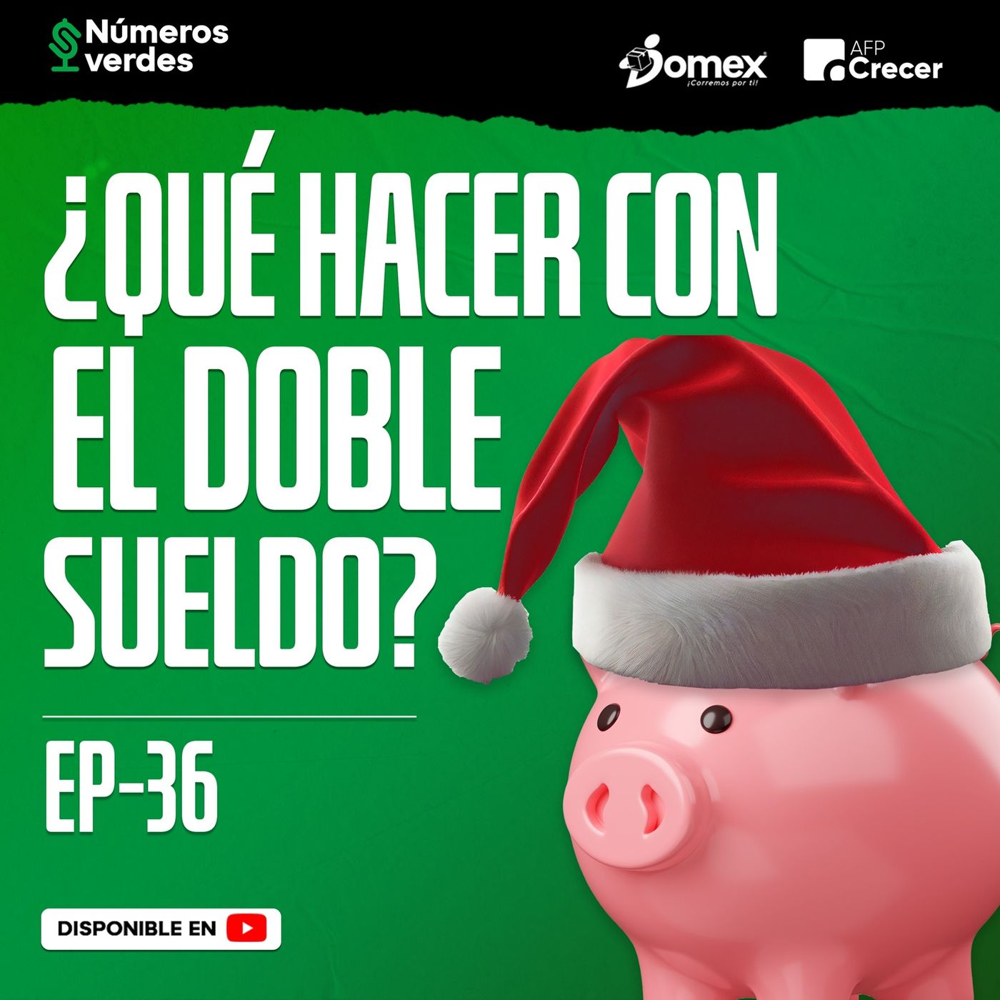 EP 36: ¿Qué hacer con el DOBLE SUELDO? - Números Verdes