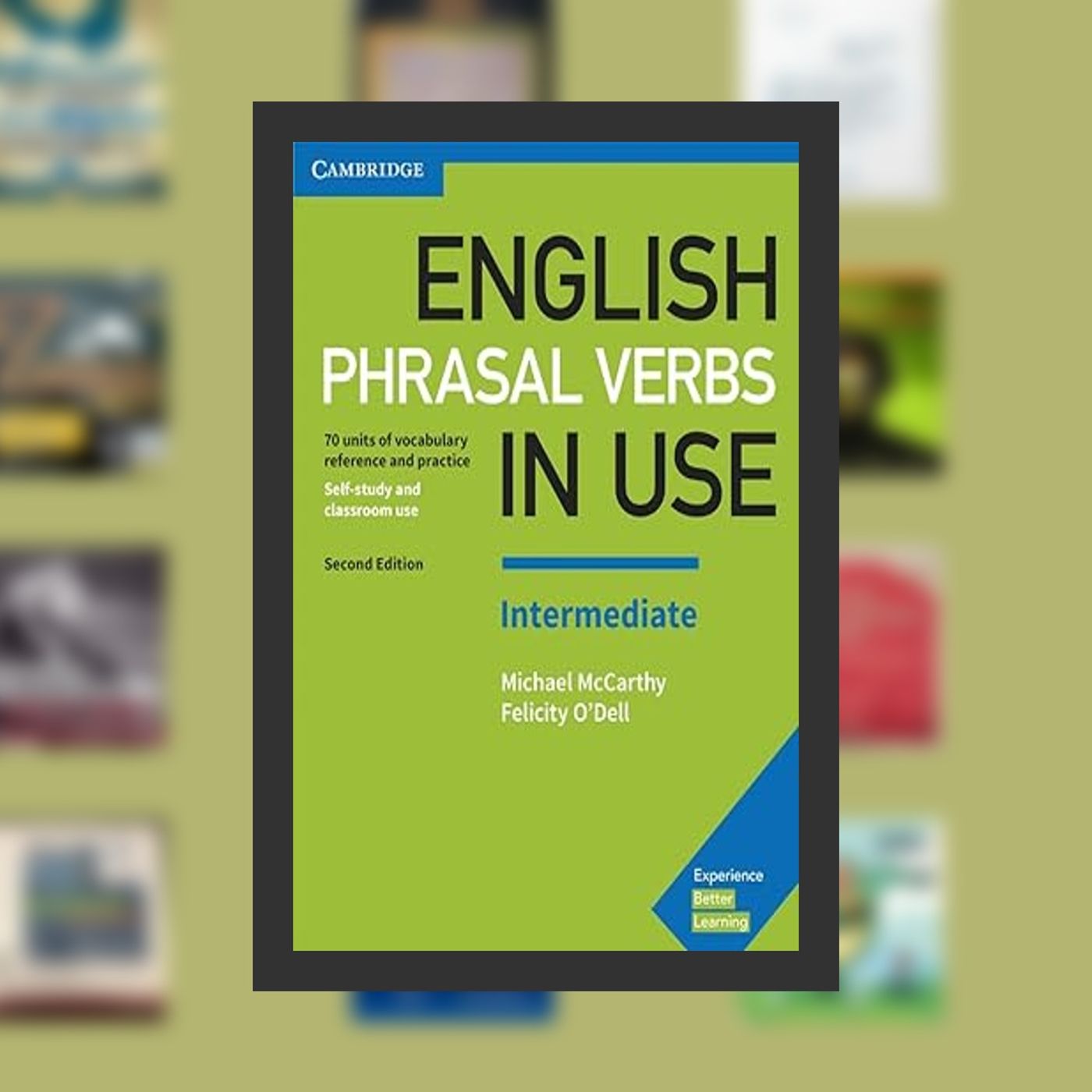 [download pdf] English Phrasal Verbs in Use Intermediate Book with Answers: Vocabulary Reference and Practice (Vocabulary in Use) episode artwork