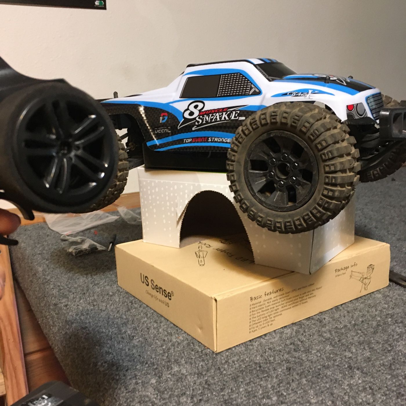 THE RC DUDE