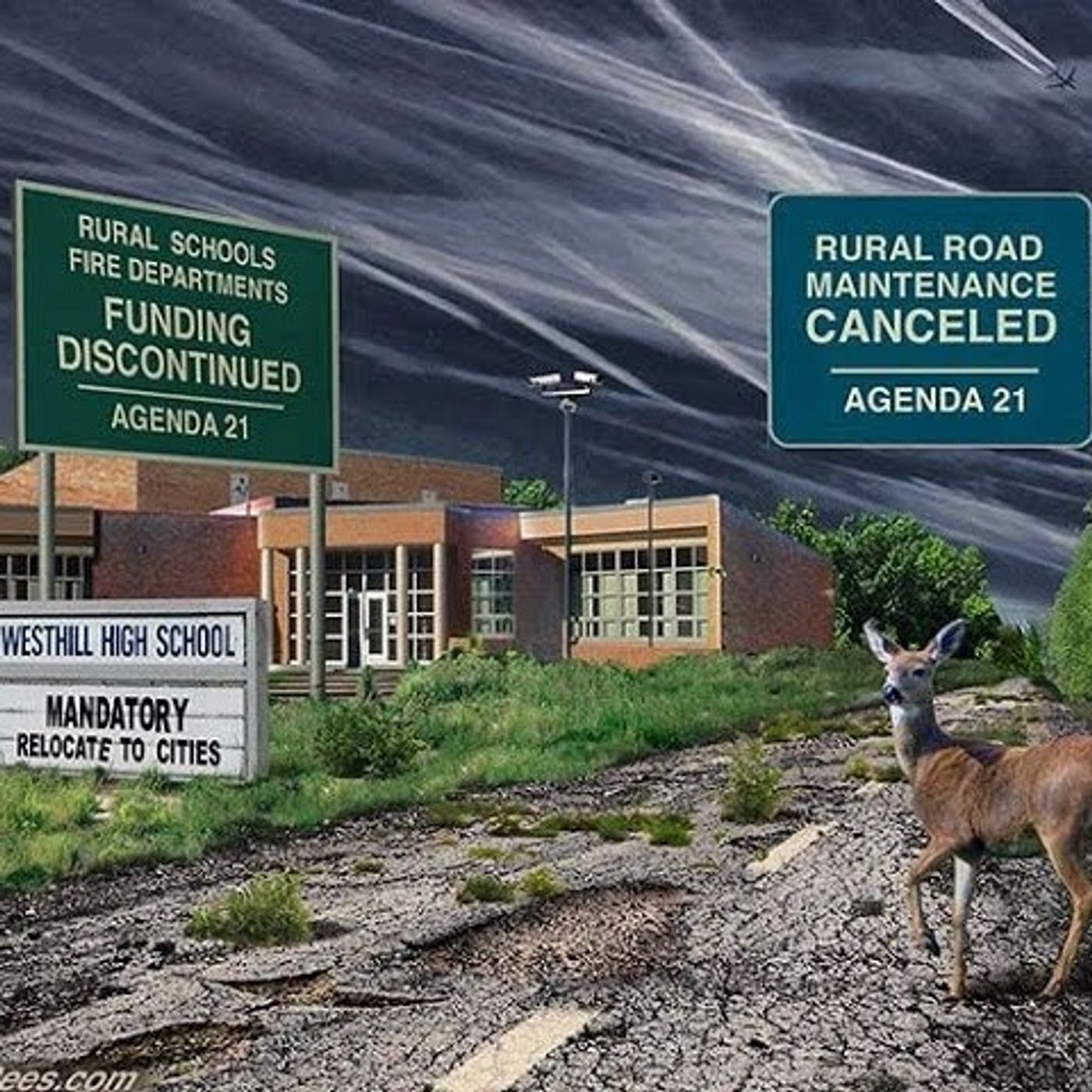Steel City Resistance - SRC#288 The Deception of Agenda 21 episode artwork