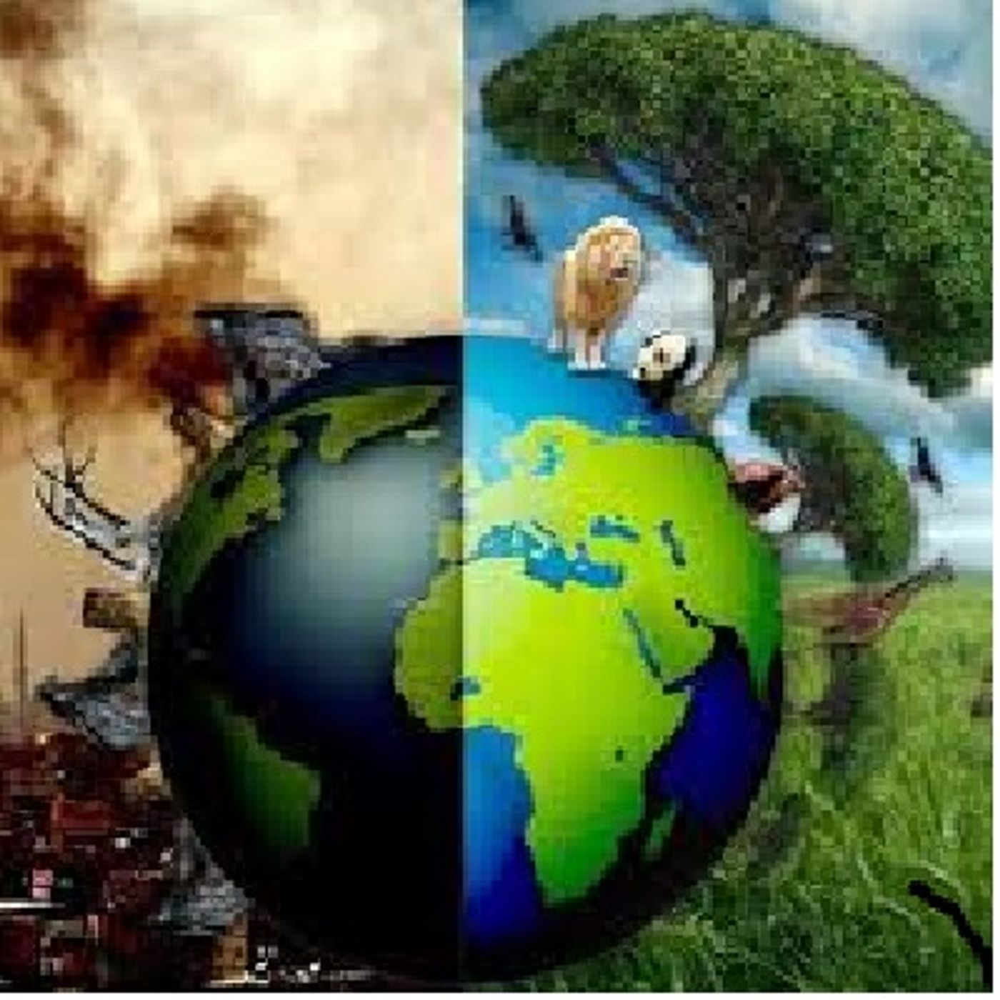 PROBLEMAS AMBIENTALES