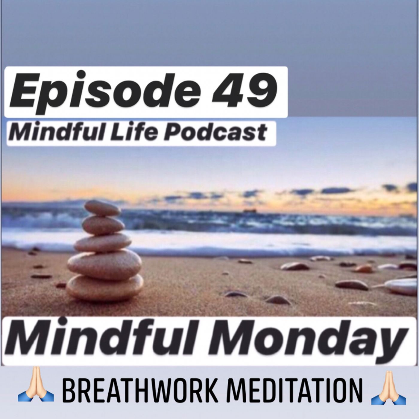 Mindful Life Podcast