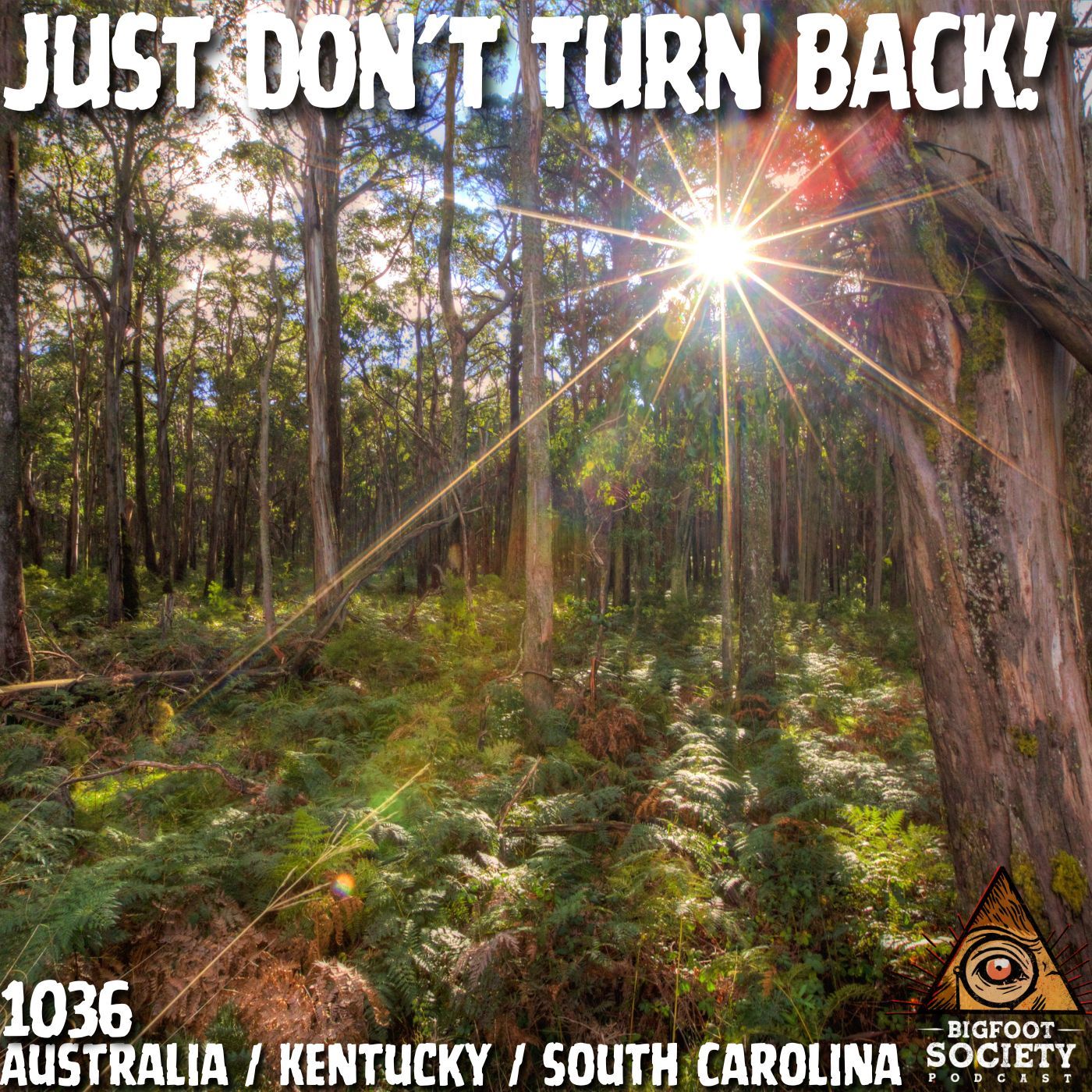 From Australia to Appalachia: Chilling Bigfoot Encounters Caught Live