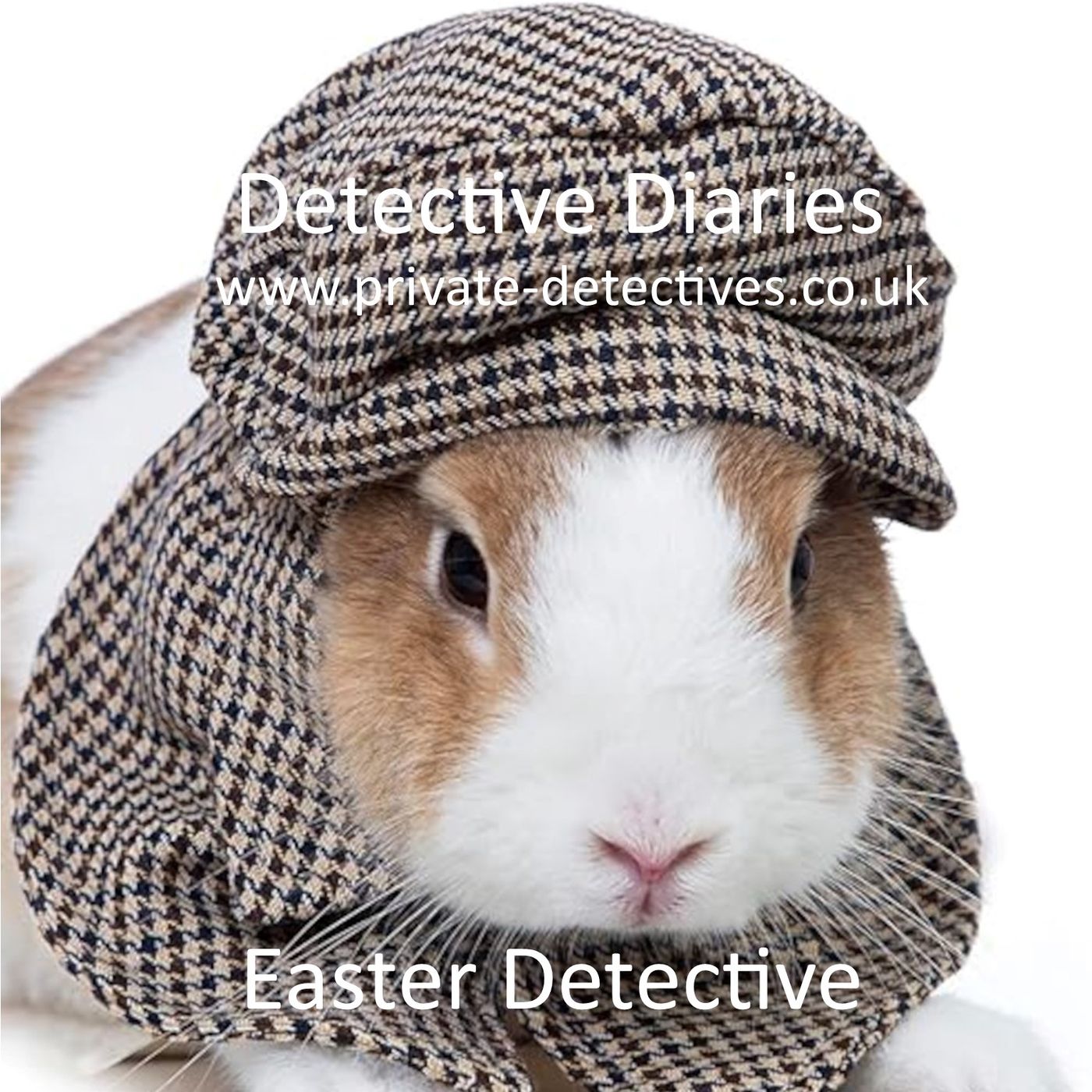 Easter Detective - The Tsar's Egg