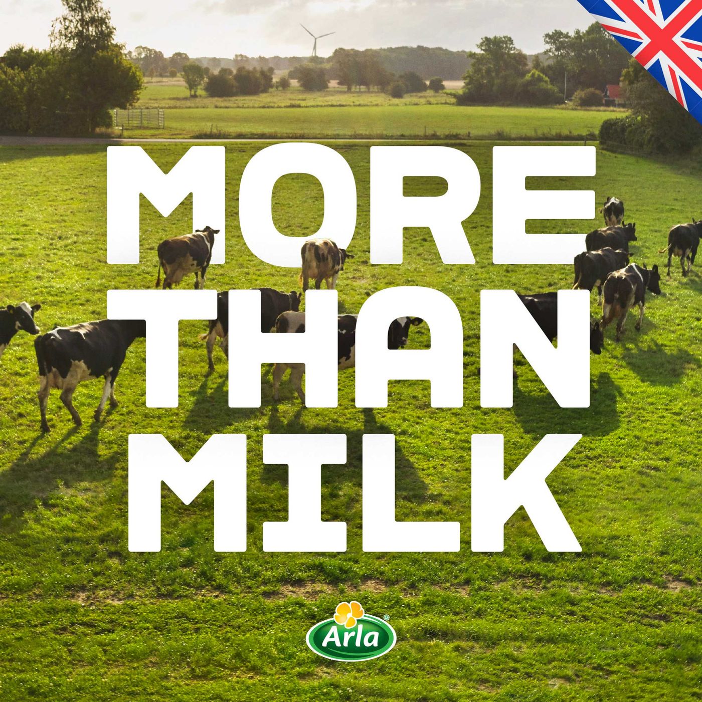 Arla – More than Milk