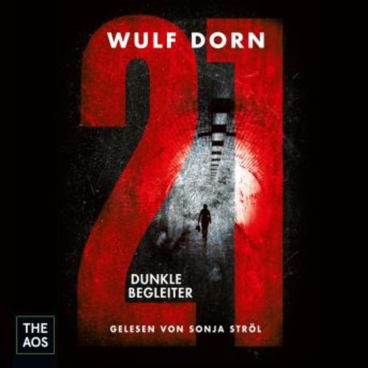 [German] - 21 - Dunkle Begleiter by Wulf Dorn episode artwork