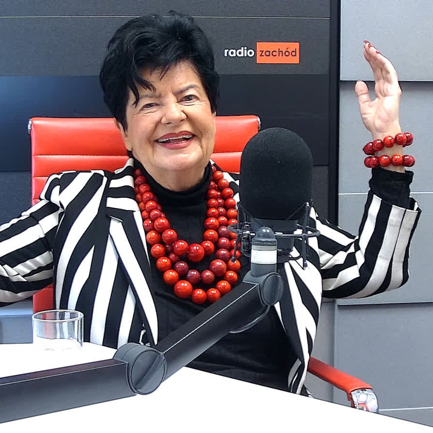 Joanna Senyszyn, profesor nauk ekonomicznych, publicystka, polityczka