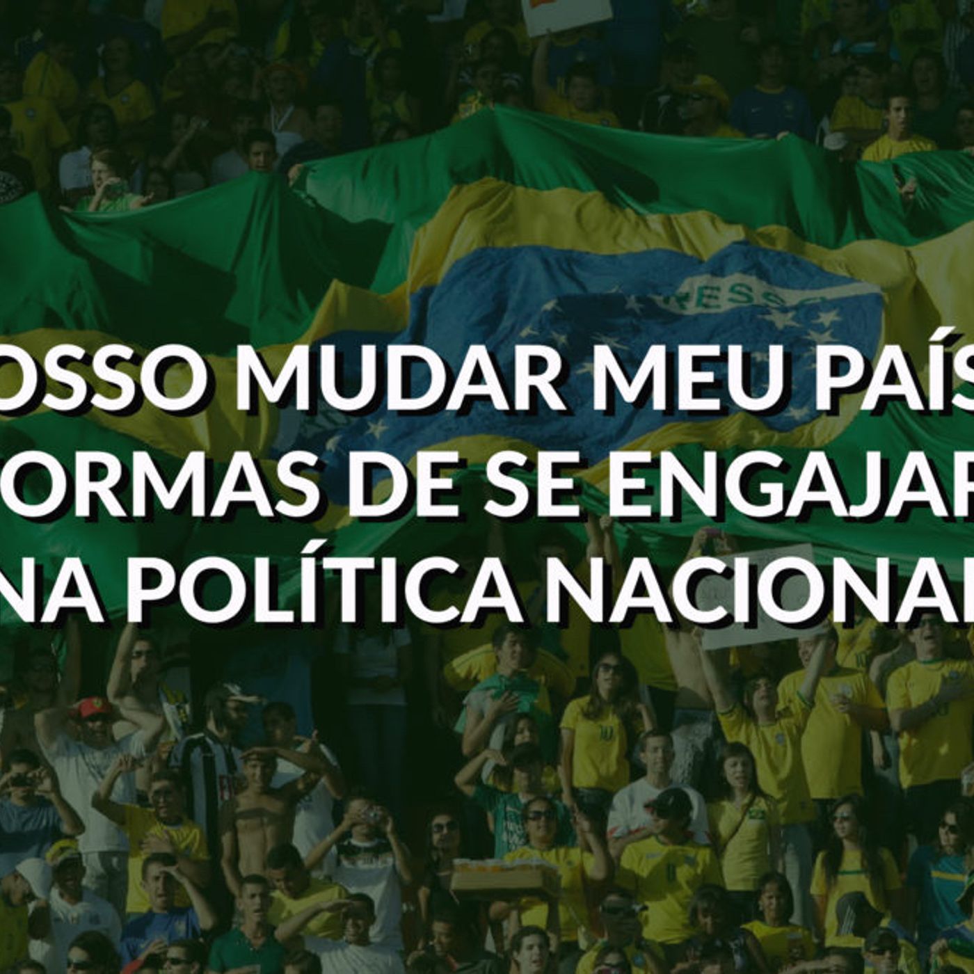 #74 - Formas de se engajar na política nacional