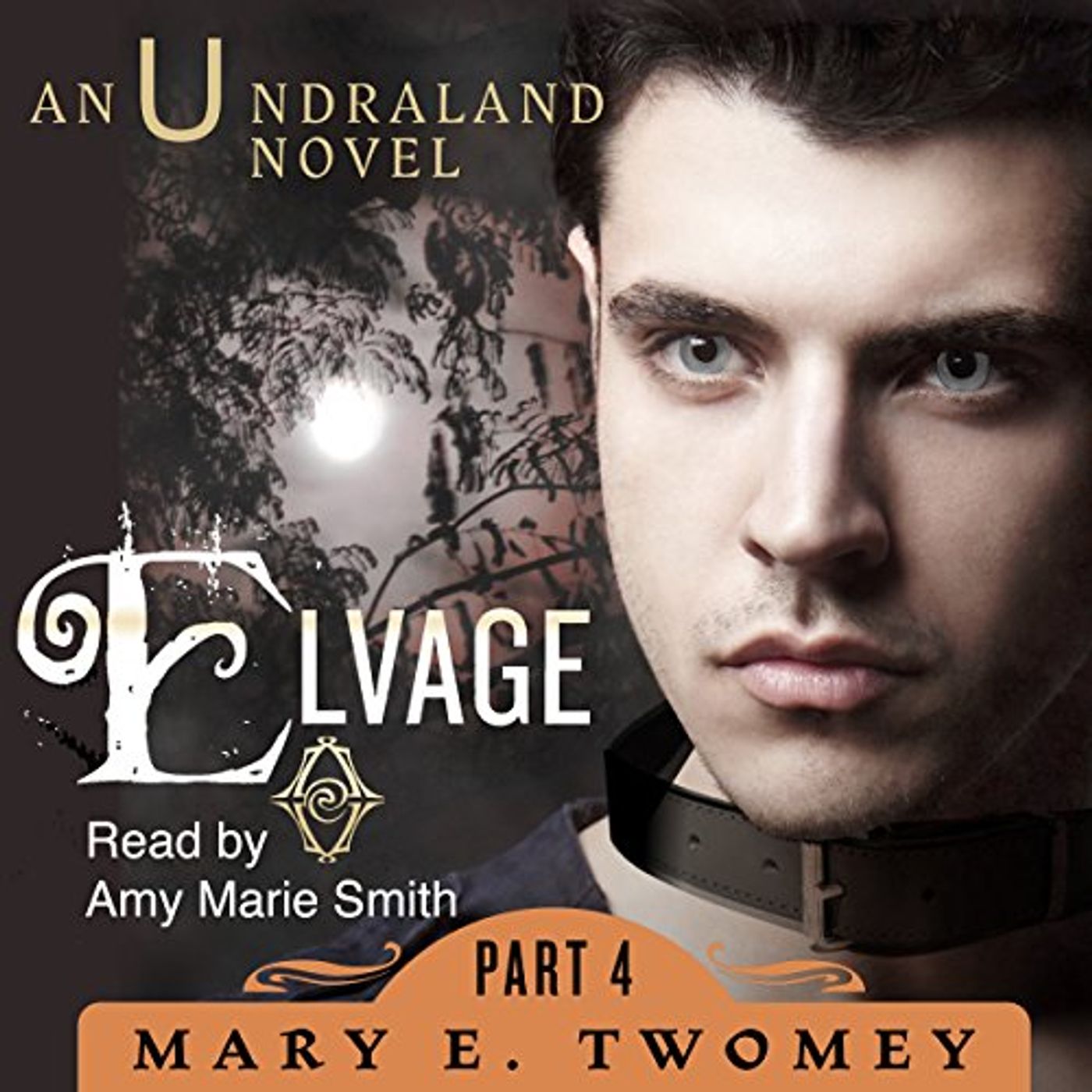 Engage  Audiobook in Romance, Fantasy