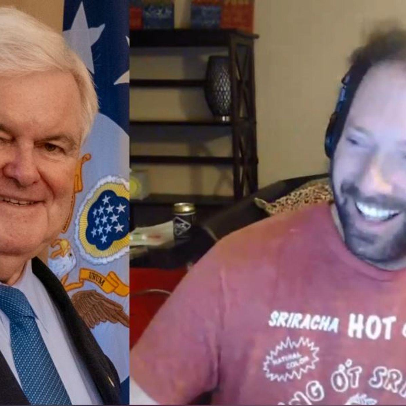 Newt Gingrich episode artwork