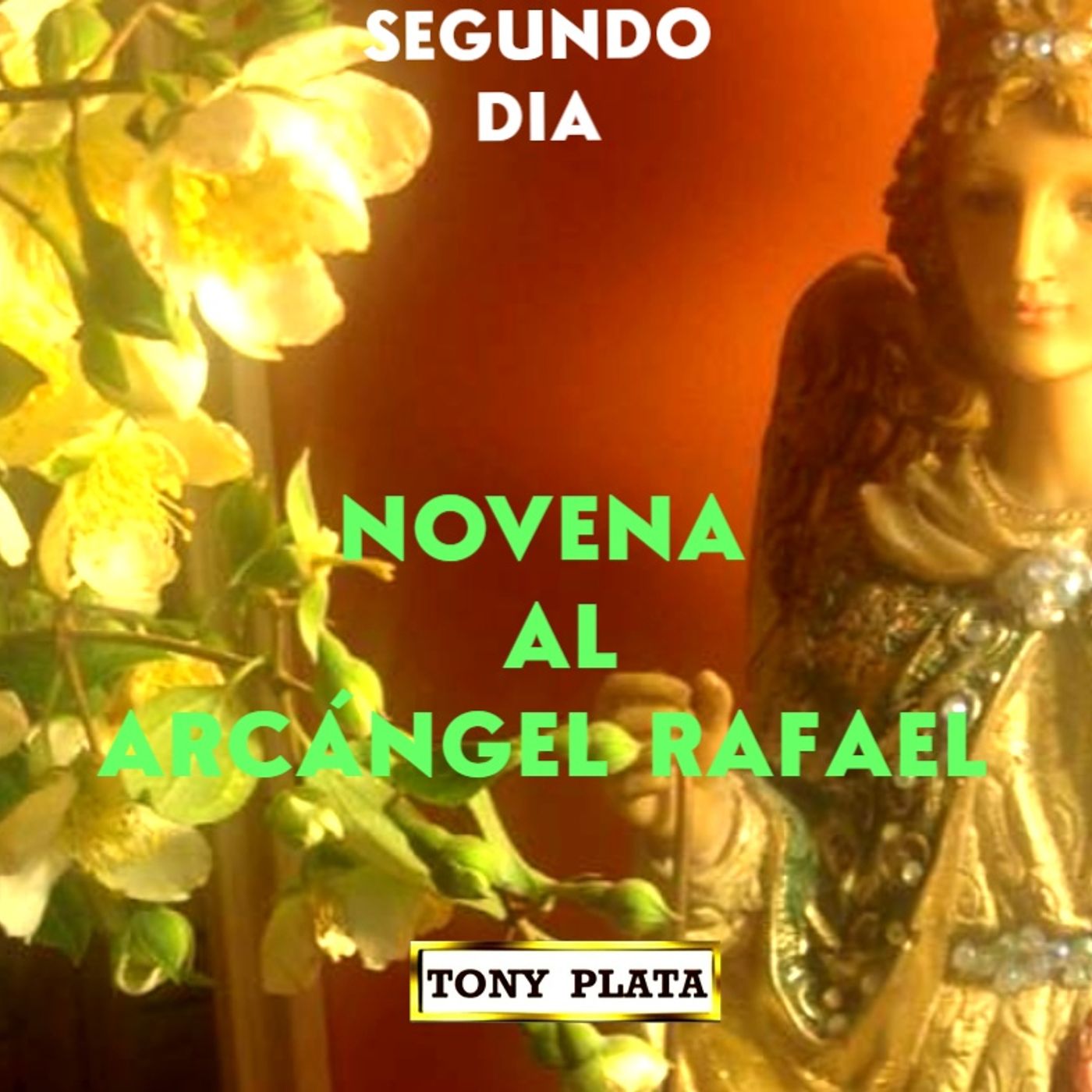 2 DIA NOVENA A SAN RAFAEL episode artwork