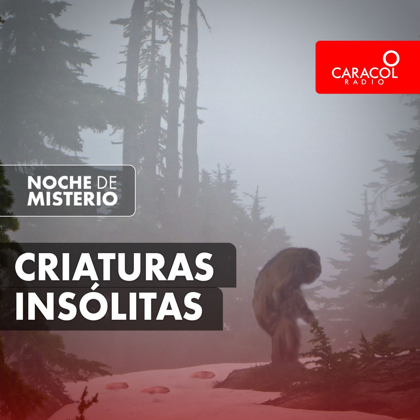 Criaturas insólitas