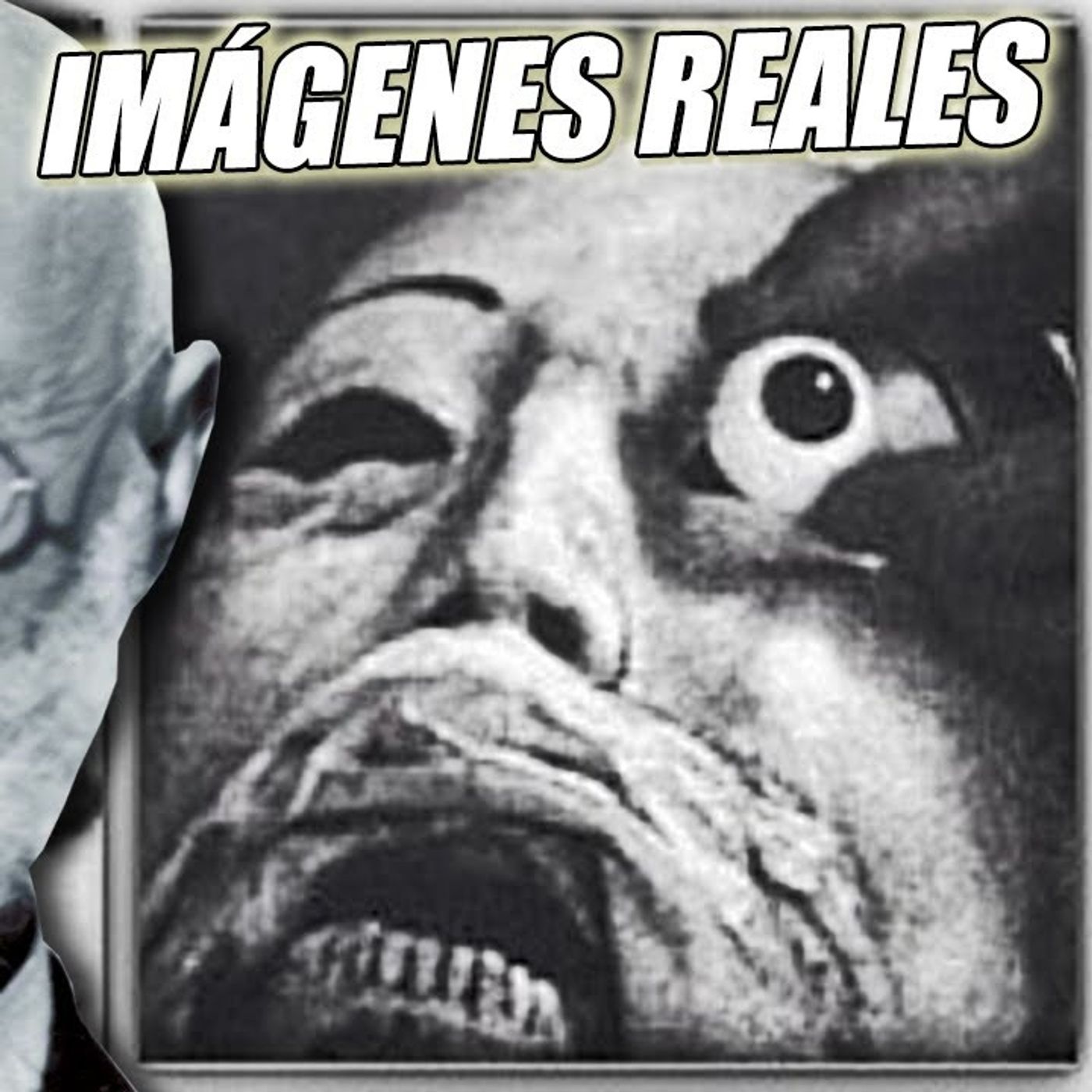 EL HOMBRE QUE TUVO RELACIONES CON UN CADÁVER DURANTE 7 AÑOS  Carl Tanzler y la Necrofilia episode artwork