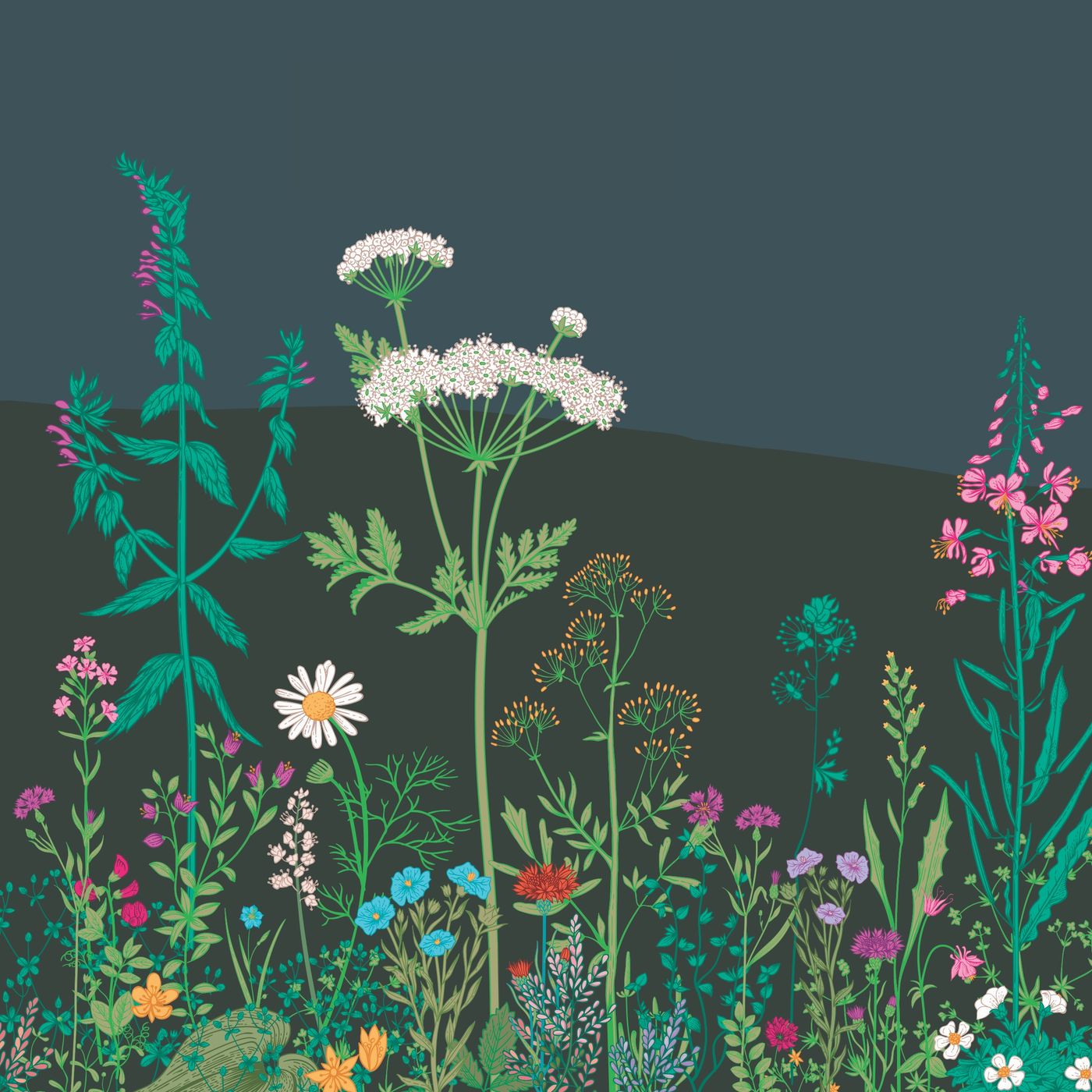 Bláth na dTulach Artwork