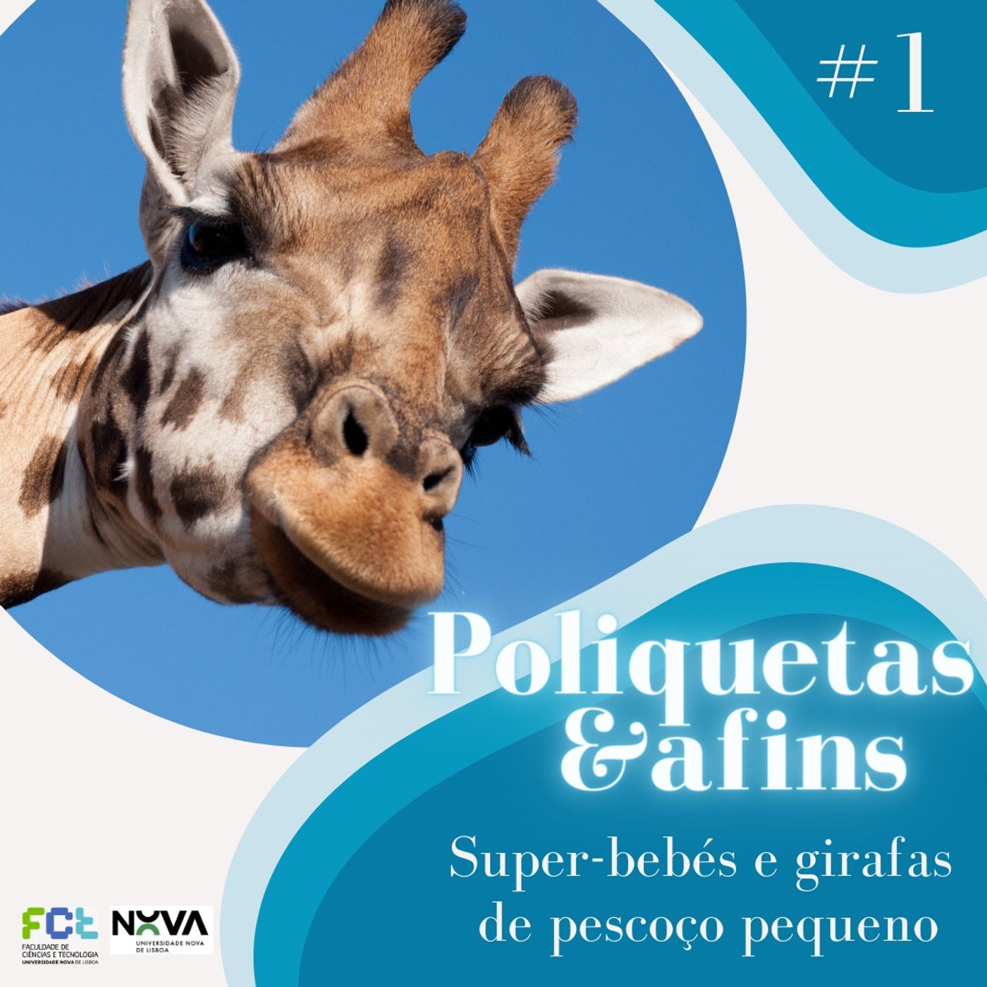 Poliquetas e afins