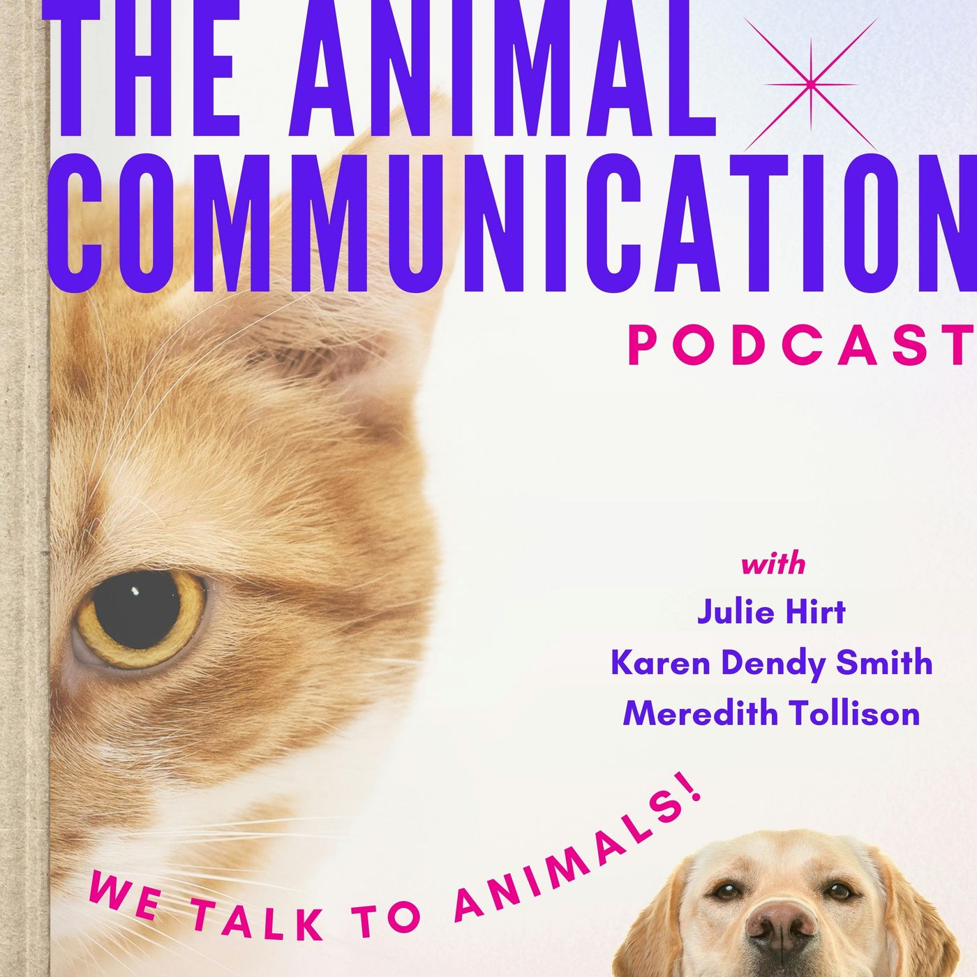 The Animal Communication Podcast podcast artwork
