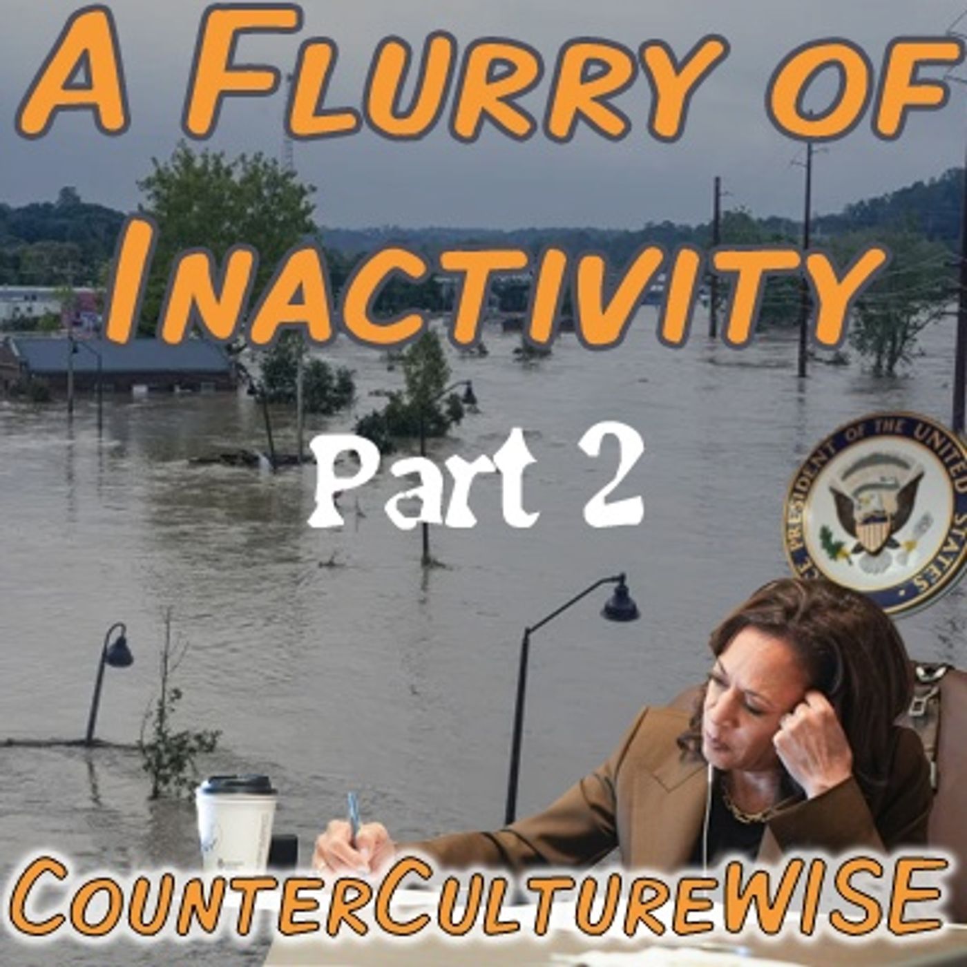 CounterCultureWISE
