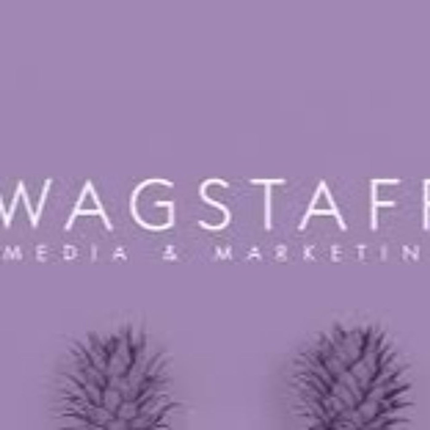 SN 7 | Ep284 - Mary Wagstaff - President of Wagstaff Media & Marketing - EXTENDED PODCAST episode artwork