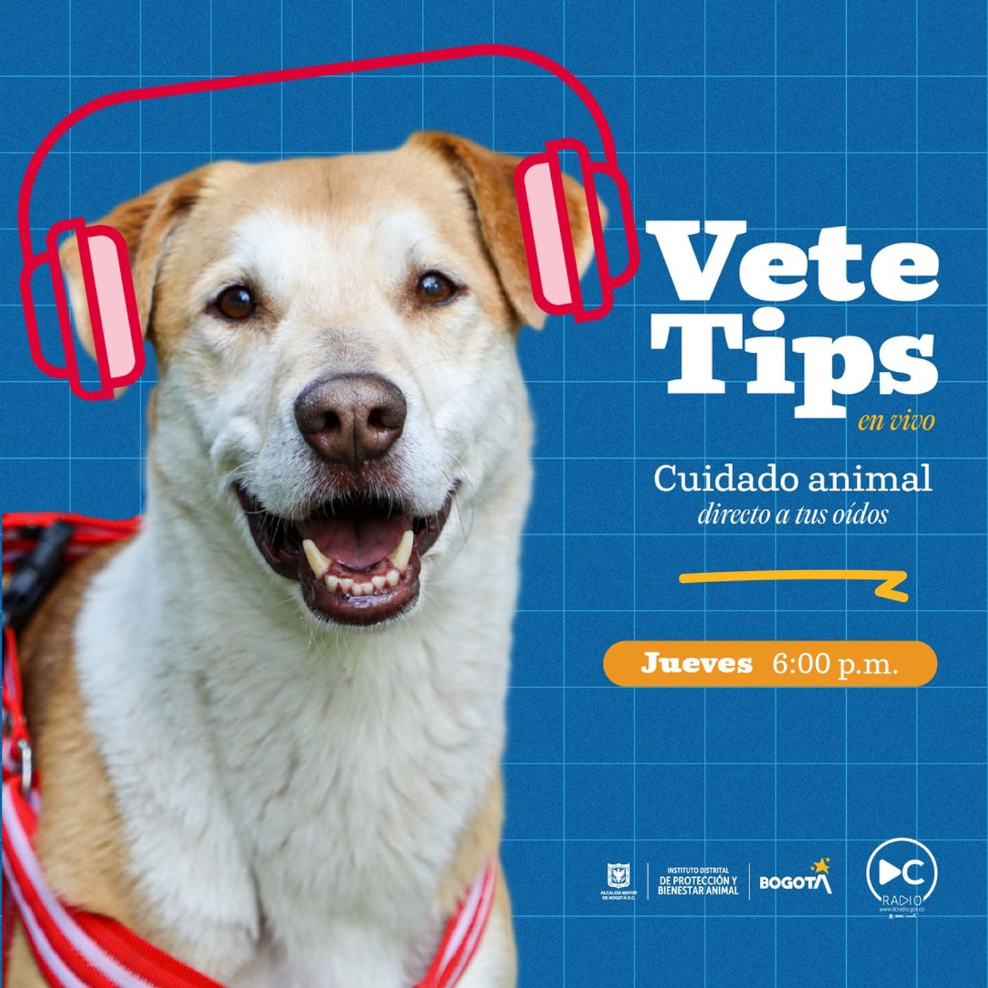 VeteTips podcast artwork