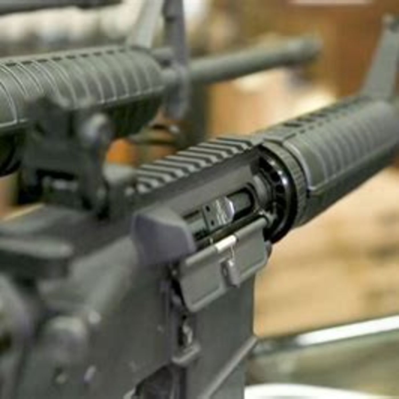Illinois Gun Owners Declining Firearms Registration
