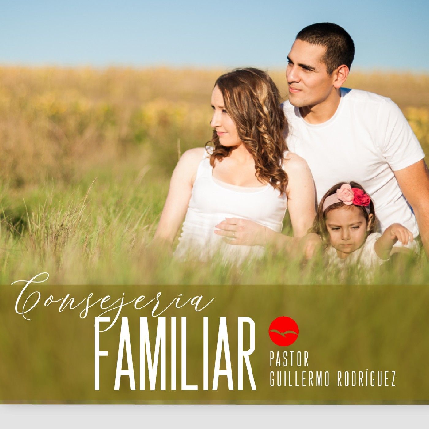 CONSEJERÍA FAMILIAR