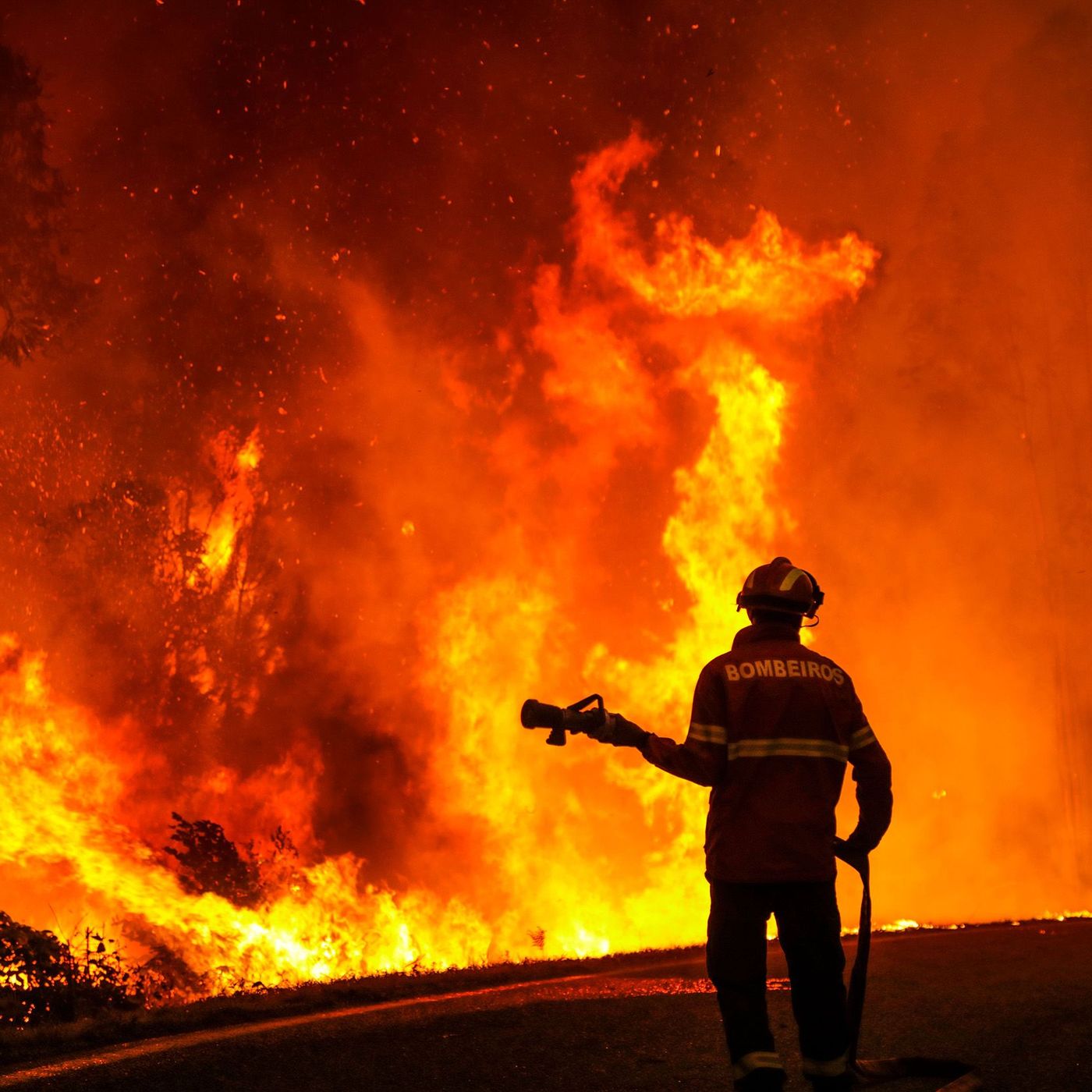 Wildfires burn in UK and Europe as heatwaves continue