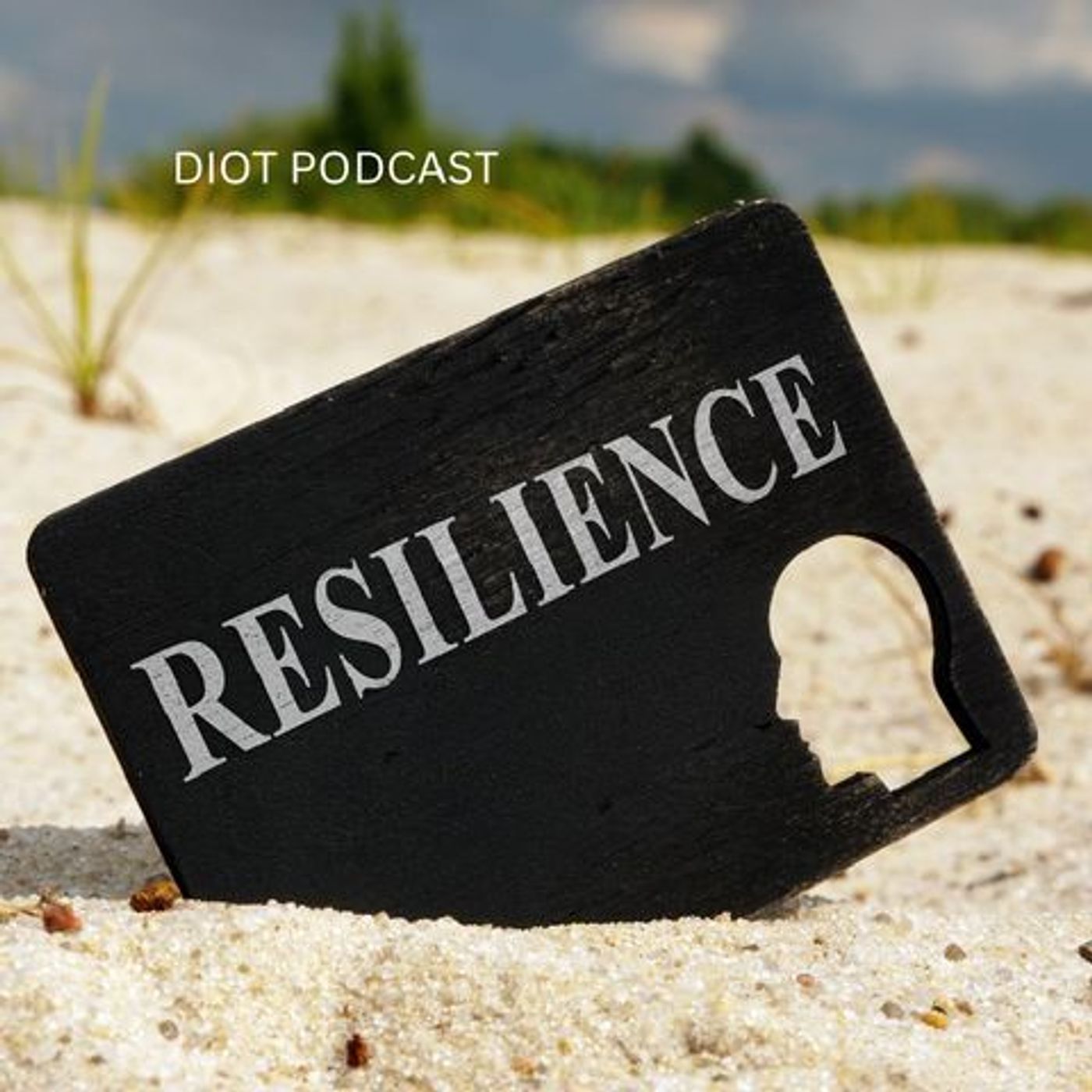 Sustainability Through Resilience