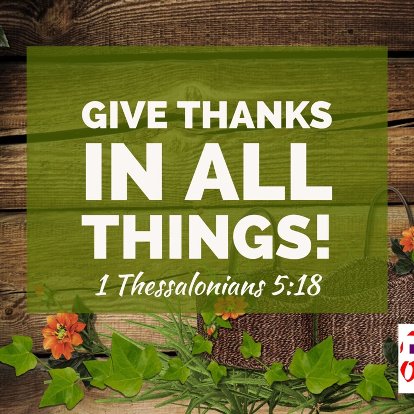 Thanksgiving is the Secret to God's Peace that Transcends All Understanding That Mounts Guard Over your Heart and Mind. episode artwork