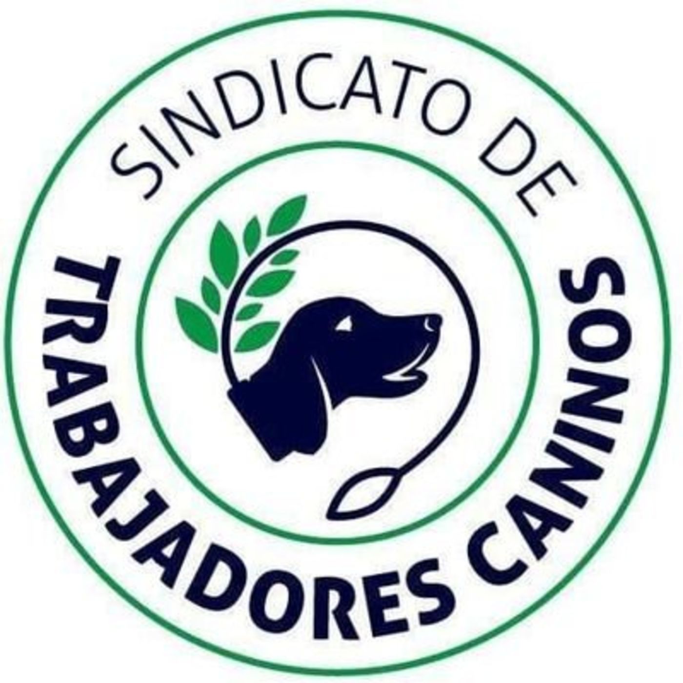 Radioactivos - Matías Tomsich, secretario general del Sindicato de Trabajadores Caninos episode artwork