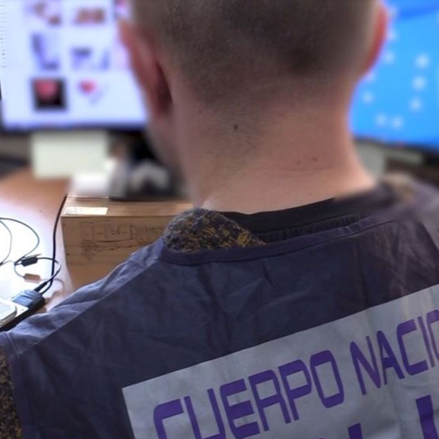 E13 La Policía Nacional tumba páginas web que clonaban los portales de marcas de prestigio episode artwork